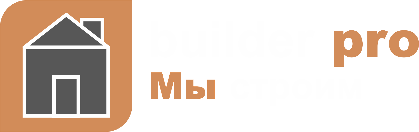 Логотип компании Builder pro